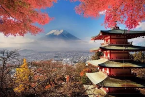 移民到日本可以享受哪些福利？