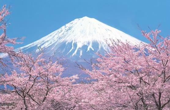 日本永住的办理条件有哪些? 日本永住的办理条件有哪些?